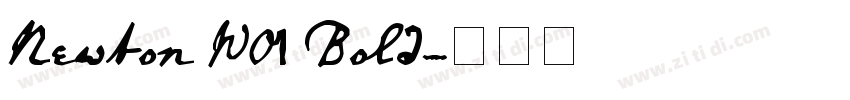 Newton W01 Bold字体转换